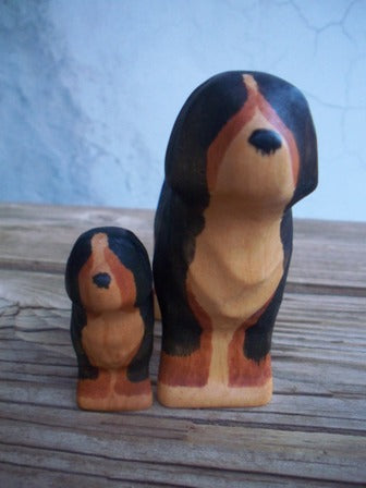 Béarnaise Mntn Dog Puppy