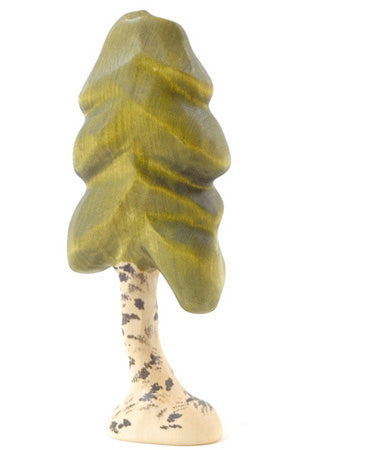 Birch Tree