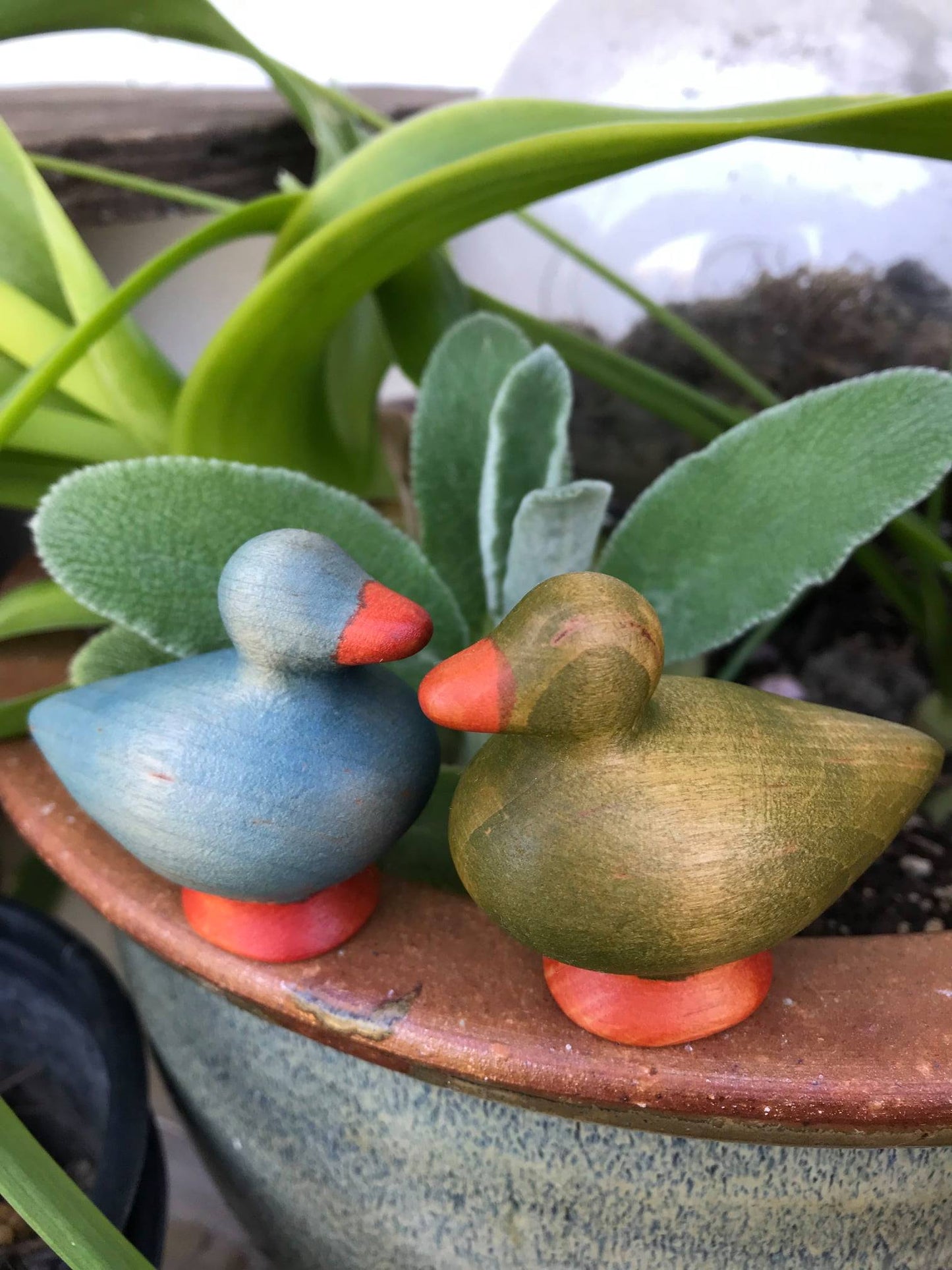 Duck