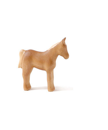 Foal - Haflinger