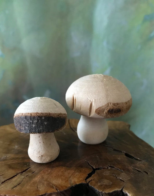 Mushroom set of 2
