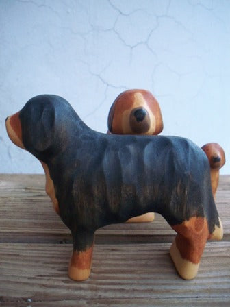 Béarnaise Mntn Dog